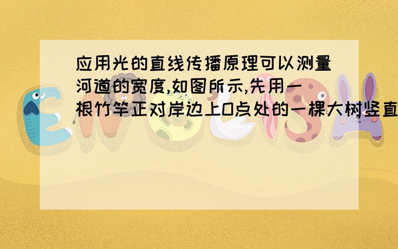 应用光的直线传播原理可以测量河道的宽度,如图所示,先用一根竹竿正对岸边上O点处的一棵大树竖直插在河边A点上,再用另一根竹竿插在点B,观察到两根竹竿与树干恰好重合在一直线上,测得AB