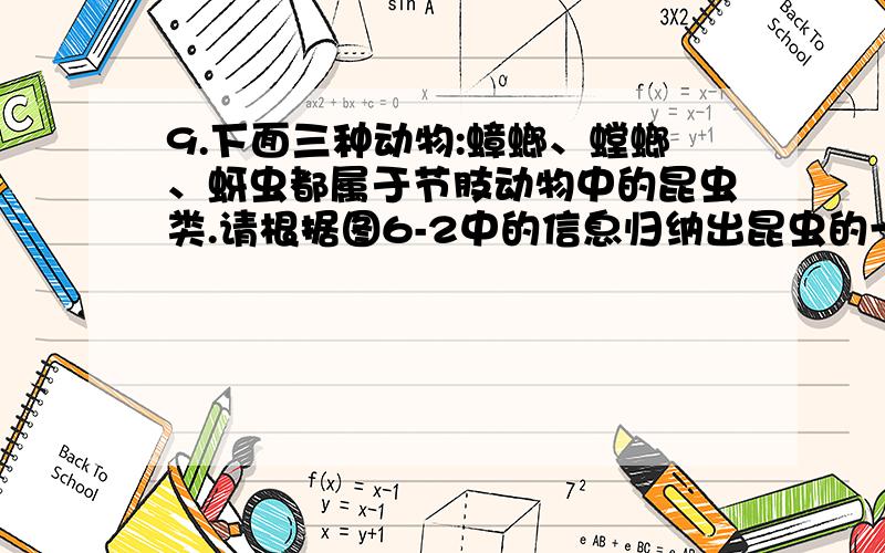 9.下面三种动物:蟑螂、螳螂、蚜虫都属于节肢动物中的昆虫类.请根据图6-2中的信息归纳出昆虫的一般特征：_________、________（至少两点）.10.人的呼吸系统的入口——鼻孔在人的头部.但生活