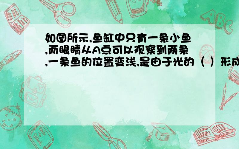 如图所示,鱼缸中只有一条小鱼,而眼睛从A点可以观察到两条,一条鱼的位置变浅,是由于光的（ ）形成的（ ）像另一条鱼变大,为什么