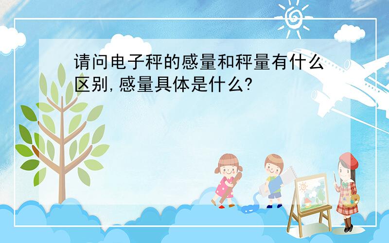 请问电子秤的感量和秤量有什么区别,感量具体是什么?