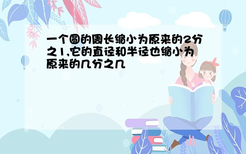 一个圆的周长缩小为原来的2分之1,它的直径和半径也缩小为原来的几分之几