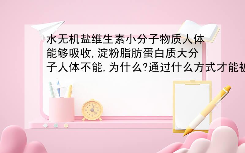 水无机盐维生素小分子物质人体能够吸收,淀粉脂肪蛋白质大分子人体不能,为什么?通过什么方式才能被吸收七年级下册的生物体,请写的又详细又简略（字数不能少于20字,不能多于50字）谢谢