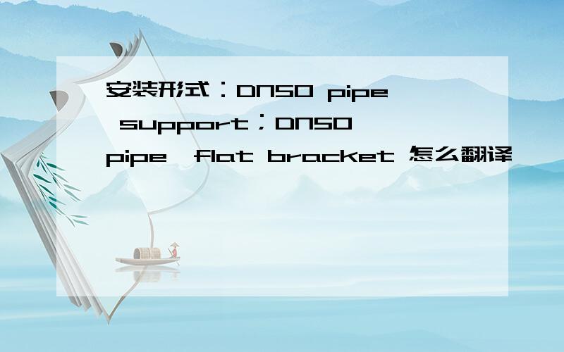 安装形式：DN50 pipe support；DN50 pipe,flat bracket 怎么翻译