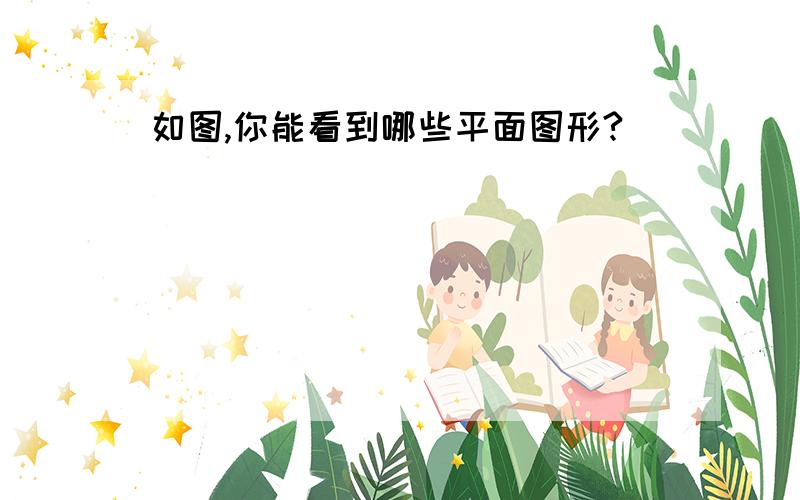 如图,你能看到哪些平面图形?