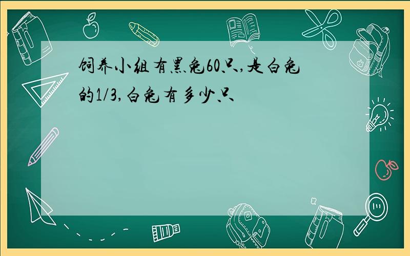 饲养小组有黑兔60只,是白兔的1/3,白兔有多少只