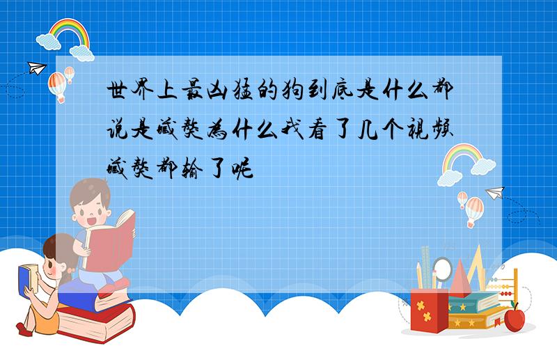 世界上最凶猛的狗到底是什么都说是藏獒为什么我看了几个视频藏獒都输了呢