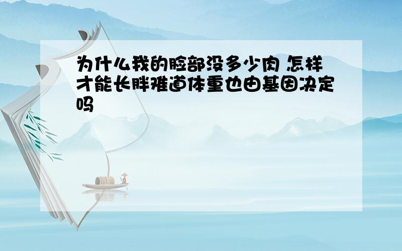 为什么我的脸部没多少肉 怎样才能长胖难道体重也由基因决定吗