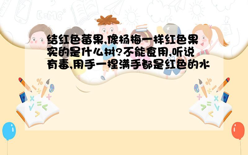 结红色莓果,像杨梅一样红色果实的是什么树?不能食用,听说有毒,用手一捏满手都是红色的水