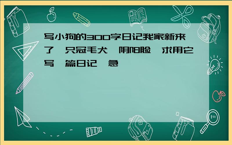 写小狗的300字日记我家新来了一只冠毛犬,阴阳脸,求用它写一篇日记,急