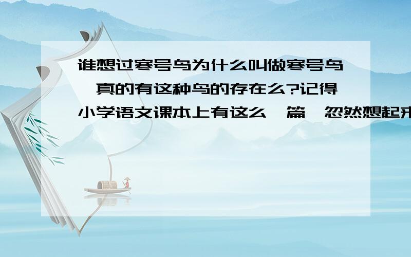 谁想过寒号鸟为什么叫做寒号鸟,真的有这种鸟的存在么?记得小学语文课本上有这么一篇,忽然想起来,觉得好玩.