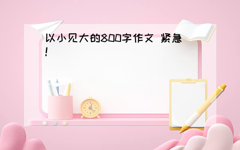 以小见大的800字作文 紧急!