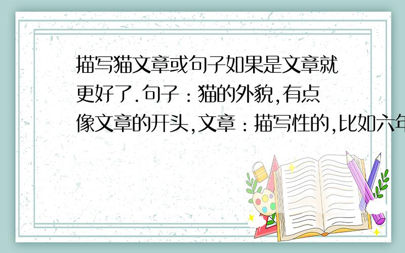 描写猫文章或句子如果是文章就更好了.句子：猫的外貌,有点像文章的开头,文章：描写性的,比如六年级上册的《最后一头战象》,好的追加分,不许从别的地方复制过来