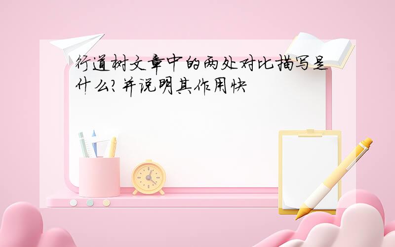 行道树文章中的两处对比描写是什么?并说明其作用快