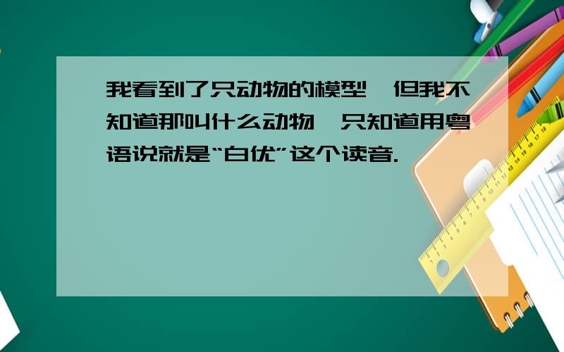 我看到了只动物的模型,但我不知道那叫什么动物,只知道用粤语说就是“白优”这个读音.