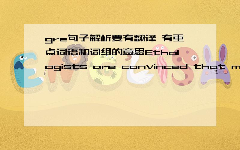 gre句子解析要有翻译 有重点词语和词组的意思Ethologists are convinced that many animals survive through learning - but learning that is dictated by their genetic programing,learning as thoroughly stereotyped as the most instinctive o