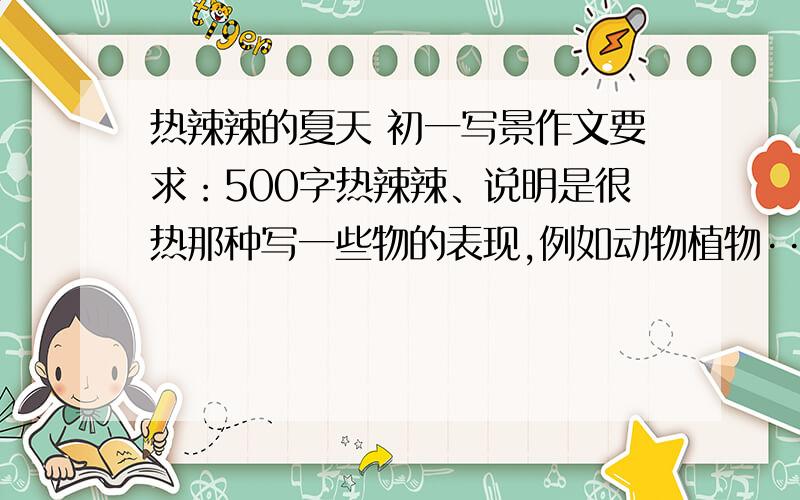 热辣辣的夏天 初一写景作文要求：500字热辣辣、说明是很热那种写一些物的表现,例如动物植物······