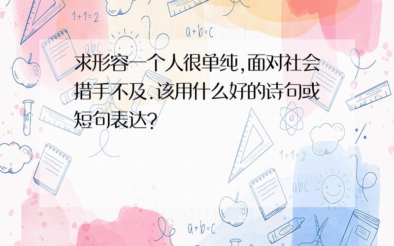 求形容一个人很单纯,面对社会措手不及.该用什么好的诗句或短句表达?