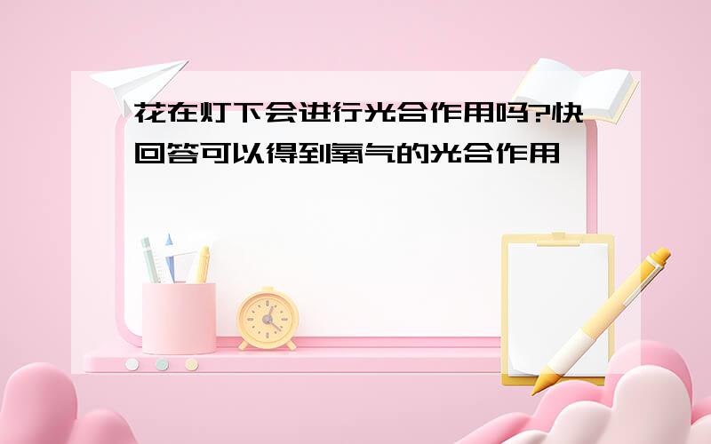 花在灯下会进行光合作用吗?快回答可以得到氧气的光合作用