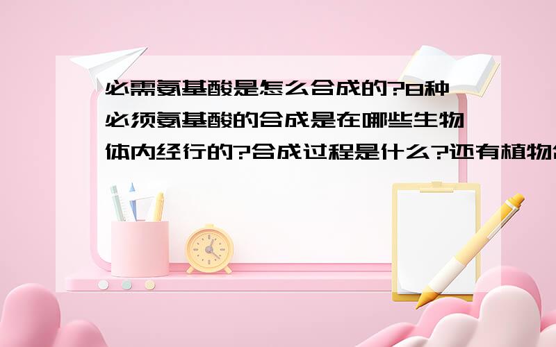 必需氨基酸是怎么合成的?8种必须氨基酸的合成是在哪些生物体内经行的?合成过程是什么?还有植物合成氨基酸的过程是什么?