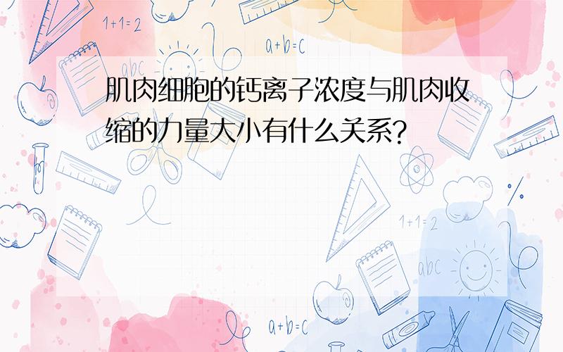 肌肉细胞的钙离子浓度与肌肉收缩的力量大小有什么关系?