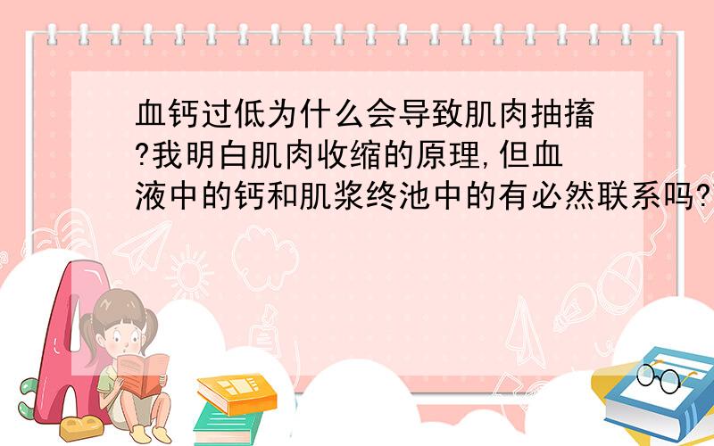 血钙过低为什么会导致肌肉抽搐?我明白肌肉收缩的原理,但血液中的钙和肌浆终池中的有必然联系吗?To calori：可是肌肉收缩需要钙离子,这样钙离子少了肌肉收缩不就被抑制了吗?为什么会抽