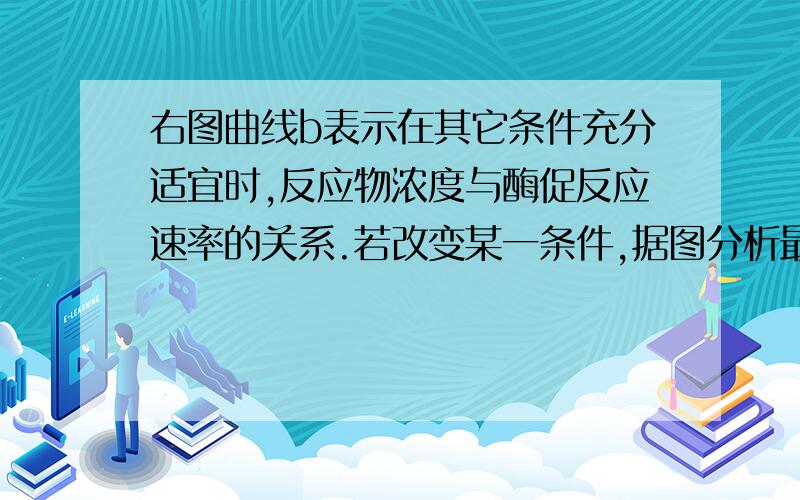 右图曲线b表示在其它条件充分适宜时,反应物浓度与酶促反应速率的关系.若改变某一条件,据图分析最准确的是A．减小pH,重复该实验,A、B点位置不会改变B．适当降温,重复该实验,图示反应速