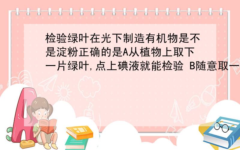 检验绿叶在光下制造有机物是不是淀粉正确的是A从植物上取下一片绿叶,点上碘液就能检验 B随意取一片叶,将叶片腿色后点上碘液就能检验C取进行遮光处理后的叶,将该叶腿色后用碘检验 D取