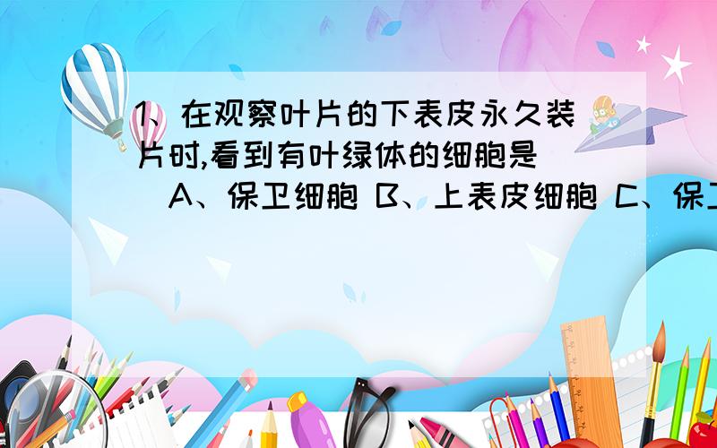 1、在观察叶片的下表皮永久装片时,看到有叶绿体的细胞是（）A、保卫细胞 B、上表皮细胞 C、保卫细胞和表皮细胞 D、下表皮细胞这道题我选的答案是C,正确答案是A,就是不太明白：难道表皮