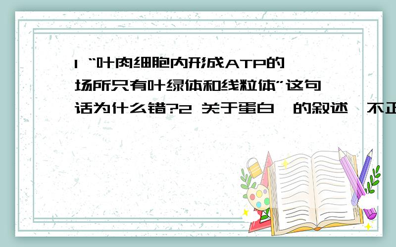 1 “叶肉细胞内形成ATP的场所只有叶绿体和线粒体”这句话为什么错?2 关于蛋白酶的叙述,不正确的是（ ）A 蛋白酶是蛋白质 B 蛋白酶可以作为药品治疗某些疾病C 蛋白酶可以水解所有的肽键 D