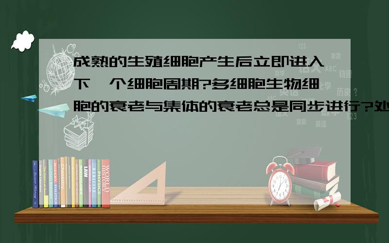 成熟的生殖细胞产生后立即进入下一个细胞周期?多细胞生物细胞的衰老与集体的衰老总是同步进行?处于分裂前期的细胞均无核仁?核增大,染色质固缩可能是癌变细胞?已经分化的细胞为什么