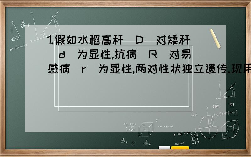 1.假如水稻高秆（D）对矮秆（d）为显性,抗病（R）对易感病（r）为显性,两对性状独立遗传.现用一个纯合易感病的矮秆品种（抗倒伏）与一个纯合抗病的高秆品种（易倒伏）杂交,后代自交得