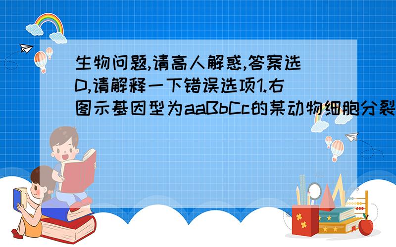 生物问题,请高人解惑,答案选D,请解释一下错误选项1.右图示基因型为aaBbCc的某动物细胞分裂示意图,据此可确认该细胞A.发生过基因突变B.将形成四种配子C.是次级精母细胞D.没有同源染色体[来