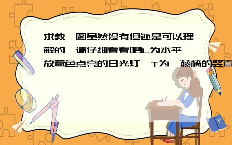 求教,图虽然没有但还是可以理解的,请仔细看看吧!L为水平放置色点亮的日光灯,T为一藤椅的竖直靠背,横藤条与日光灯平行,竖藤条相互交织,他们之间是透空方格,P是与藤条靠背平行的白屏,现