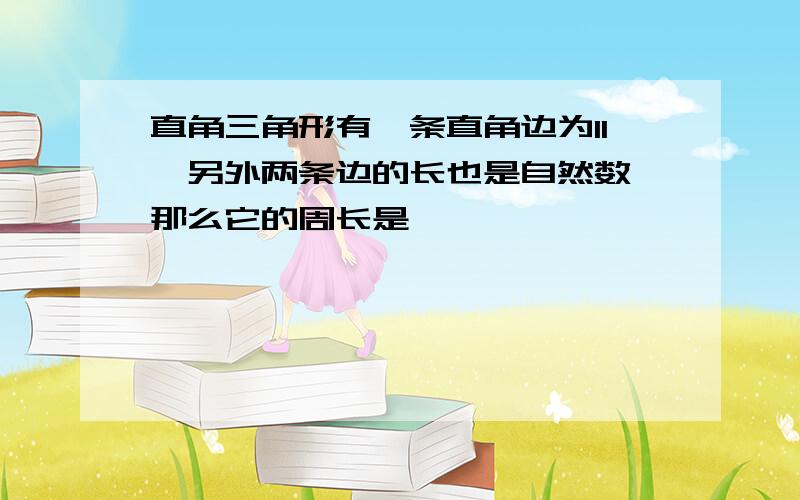 直角三角形有一条直角边为11,另外两条边的长也是自然数,那么它的周长是