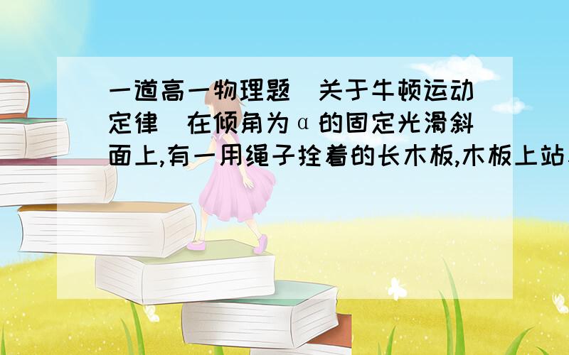 一道高一物理题（关于牛顿运动定律）在倾角为α的固定光滑斜面上,有一用绳子拴着的长木板,木板上站着一只猫.已知木板的质量是猫的2倍.当绳子突然断裂时,猫立即沿着木板向上跑,以保持