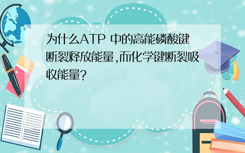 为什么ATP 中的高能磷酸键断裂释放能量,而化学键断裂吸收能量?