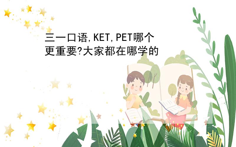 三一口语,KET,PET哪个更重要?大家都在哪学的