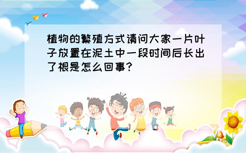 植物的繁殖方式请问大家一片叶子放置在泥土中一段时间后长出了根是怎么回事?