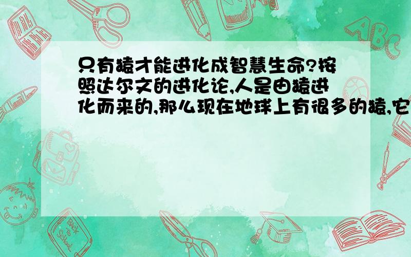 只有猿才能进化成智慧生命?按照达尔文的进化论,人是由猿进化而来的,那么现在地球上有很多的猿,它们会不会进化成一种新的人类,如果不行,那我们这些地球人都是怎么来的?