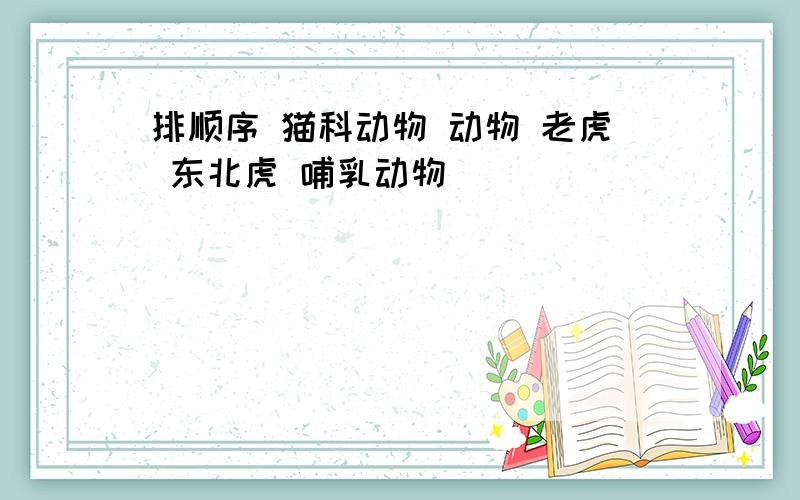 排顺序 猫科动物 动物 老虎 东北虎 哺乳动物