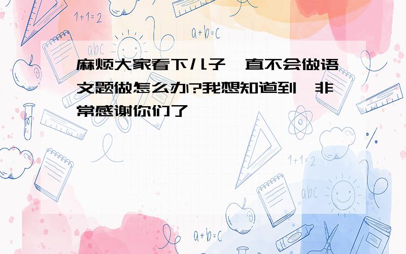 麻烦大家看下儿子一直不会做语文题做怎么办?我想知道到,非常感谢你们了