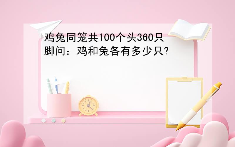 鸡兔同笼共100个头360只脚问：鸡和兔各有多少只?