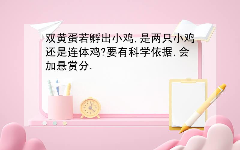 双黄蛋若孵出小鸡,是两只小鸡还是连体鸡?要有科学依据,会加悬赏分.