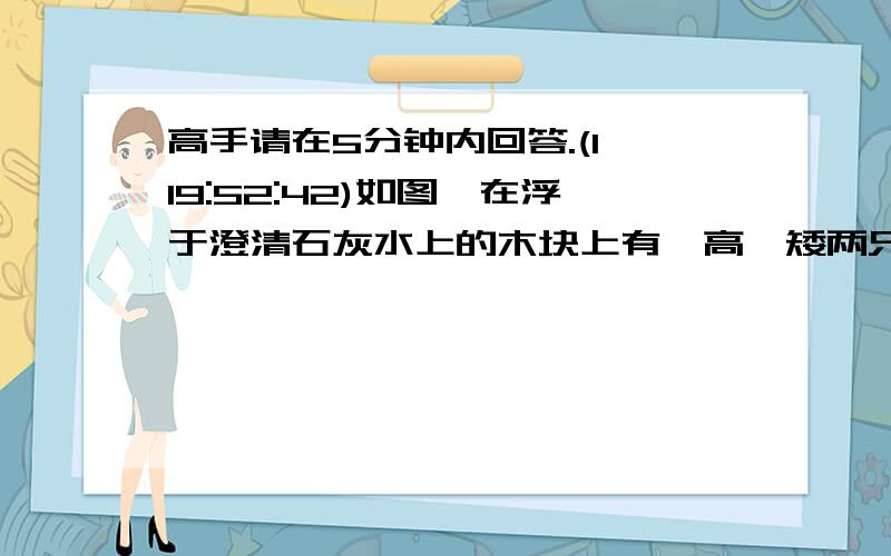 高手请在5分钟内回答.(1 19:52:42)如图,在浮于澄清石灰水上的木块上有一高一矮两只蜡烛,点燃后罩上一个烧杯,过一会儿,两支蜡烛在没有燃烧完的情况下先后熄灭.则先熄灭的是高还是矮的蜡烛