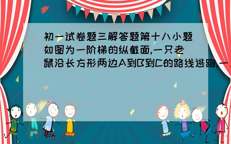 初一试卷题三解答题第十八小题如图为一阶梯的纵截面,一只老鼠沿长方形两边A到B到C的路线逃跑,一只猫同时沿阶梯(折线)A到C到D的路线去捉,结果在距离C点0.6米的D处,猫捉住了老鼠,已知老鼠