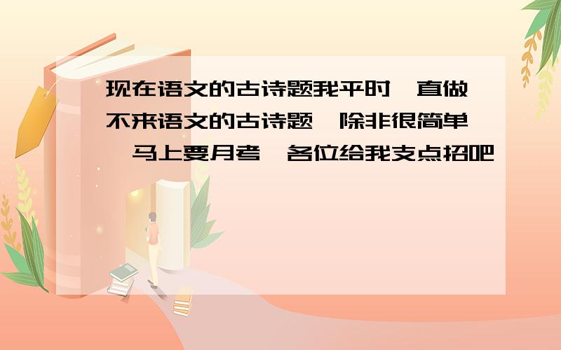 现在语文的古诗题我平时一直做不来语文的古诗题,除非很简单,马上要月考,各位给我支点招吧,