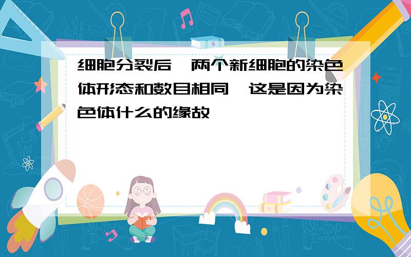 细胞分裂后,两个新细胞的染色体形态和数目相同,这是因为染色体什么的缘故