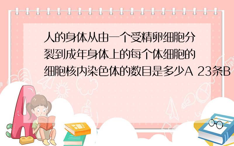 人的身体从由一个受精卵细胞分裂到成年身体上的每个体细胞的细胞核内染色体的数目是多少A 23条B 46条C 逐渐增加D逐渐减少