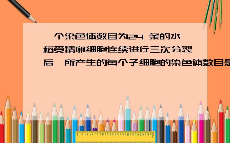 一个染色体数目为24 条的水稻受精卵细胞连续进行三次分裂后,所产生的每个子细胞的染色体数目是A、24条 B、48条 C、12条 D、36条