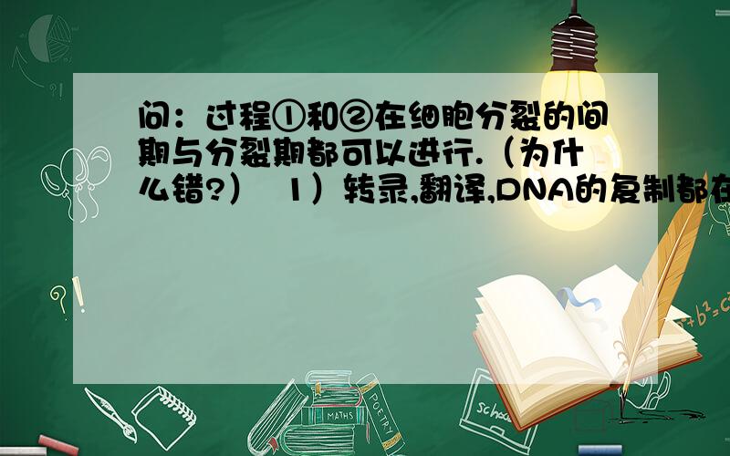 问：过程①和②在细胞分裂的间期与分裂期都可以进行.（为什么错?）  1）转录,翻译,DNA的复制都在什么时候进行?分裂期,分裂间期也能进行吗?                2）转录,翻译,DNA的复制与其是染色